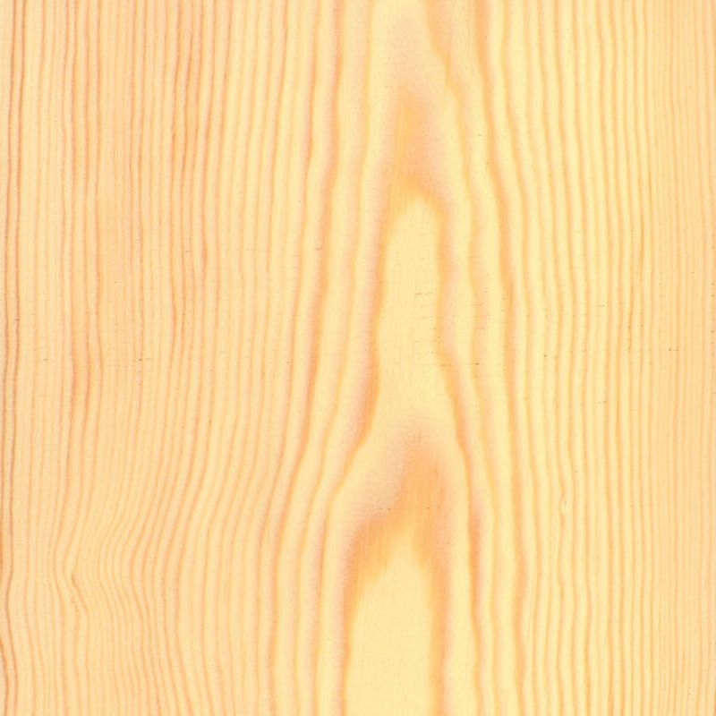 Scots Pine