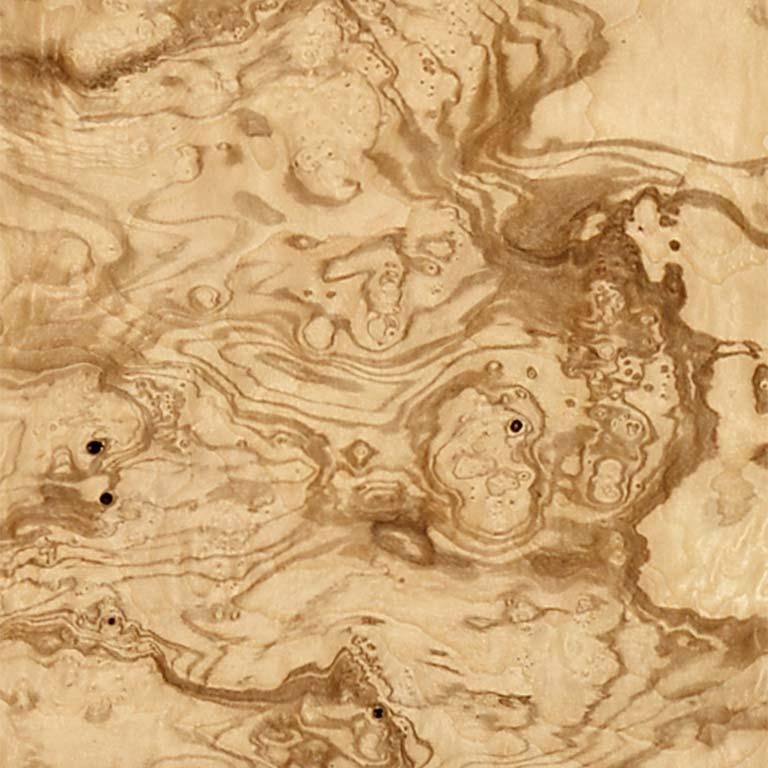 Ash Burl Olive
