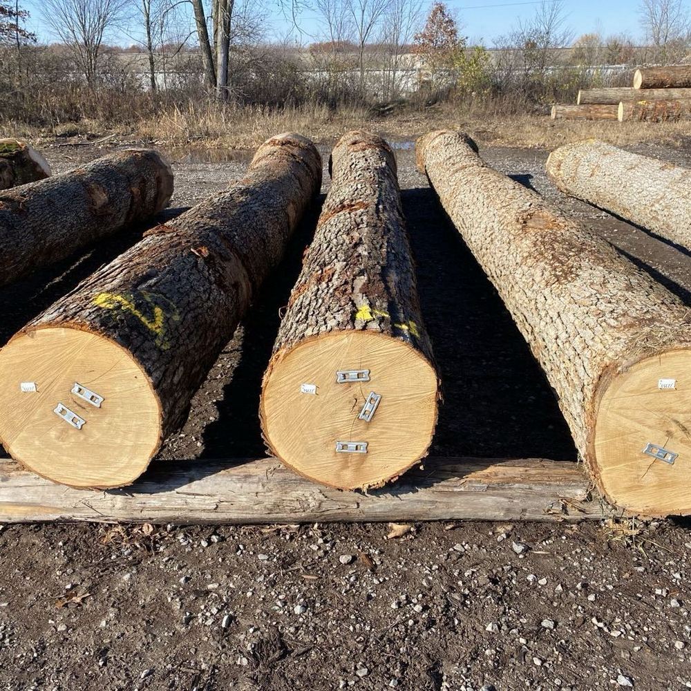 White Oak
