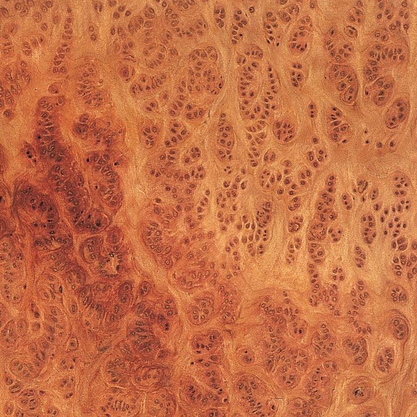 Redwood Burl/Vavona Burl