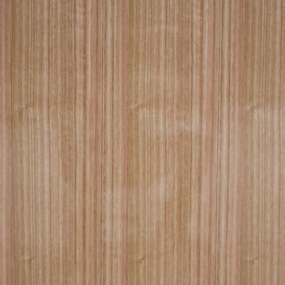 EUCALYPTUS