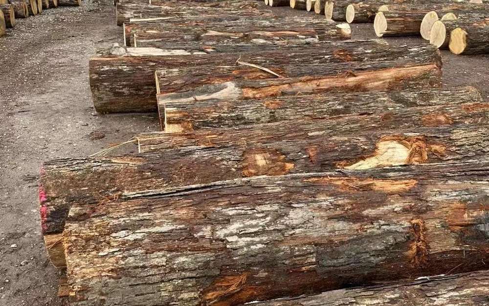 Log yard