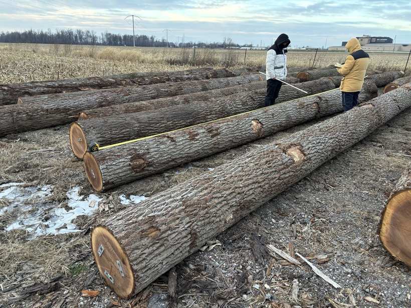 Scaling at the stacking yard
